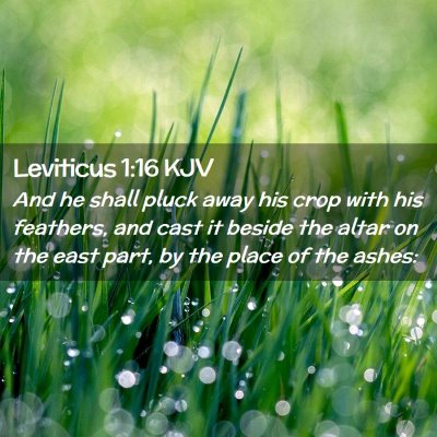 Leviticus 1:16 KJV Free Bible Images