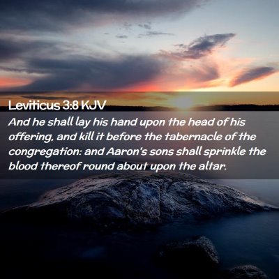 Leviticus 3:8 KJV Free Bible Images