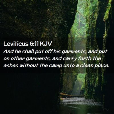 Leviticus 6:11 KJV Free Bible Images