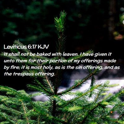 Leviticus 6:17 KJV Free Bible Images