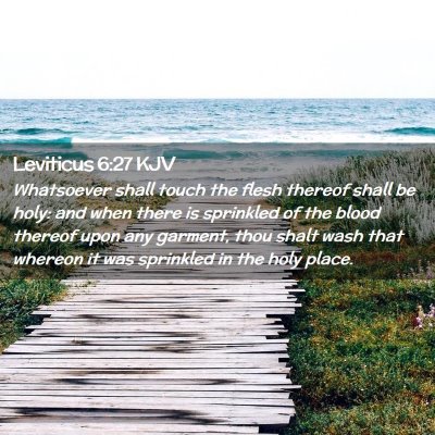 Leviticus 6:27 KJV Free Bible Images