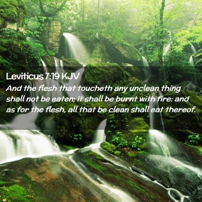 Leviticus 7:19 KJV Free Bible Images