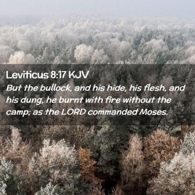 Leviticus 8:17 KJV Free Bible Images