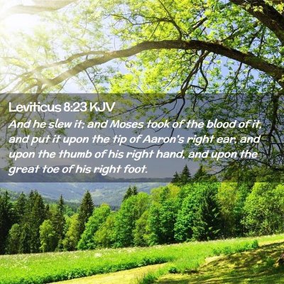 Leviticus 8:23 KJV Free Bible Images