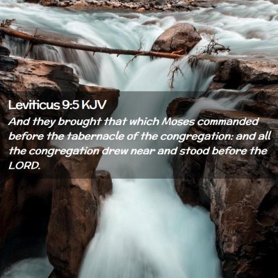 Leviticus 9:5 KJV Free Bible Images