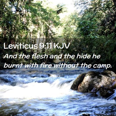 Leviticus 9:11 KJV Free Bible Images