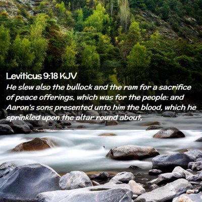 Leviticus 9:18 KJV Free Bible Images