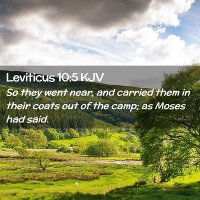 Leviticus 10:5 KJV Free Bible Images