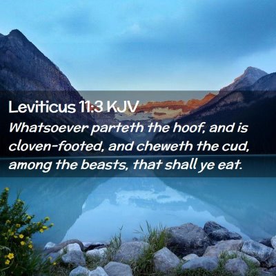 Leviticus 11:3 KJV Free Bible Images