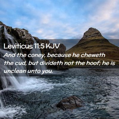 Leviticus 11:5 KJV Free Bible Images