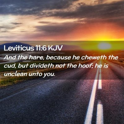 Leviticus 11:6 KJV Free Bible Images