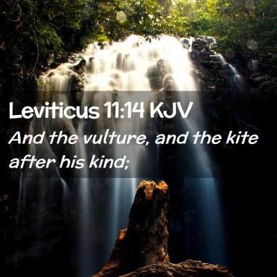 Leviticus 11:14 KJV Free Bible Images