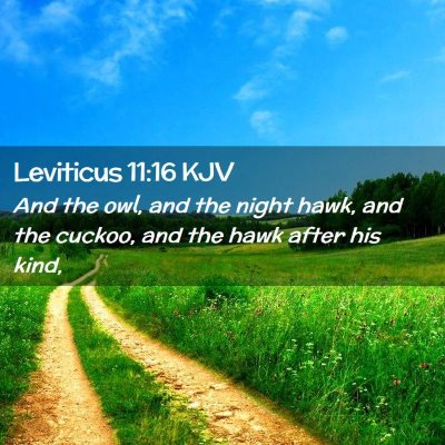 Leviticus 11:16 KJV Free Bible Images