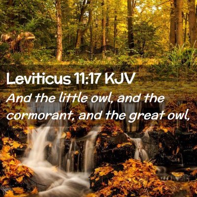 Leviticus 11:17 KJV Free Bible Images