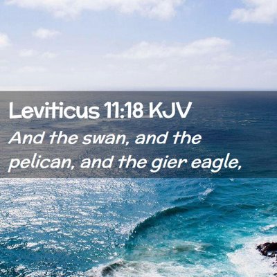 Leviticus 11:18 KJV Free Bible Images