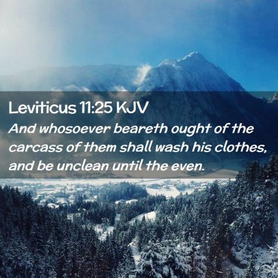 Leviticus 11:25 KJV Free Bible Images