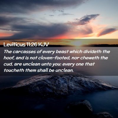 Leviticus 11:26 KJV Free Bible Images