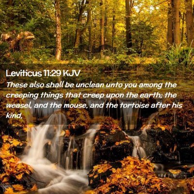 Leviticus 11:29 KJV Free Bible Images