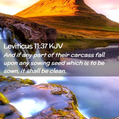 Leviticus 11:37 KJV Free Bible Images