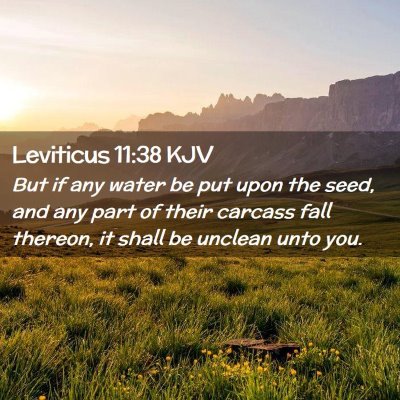 Leviticus 11:38 KJV Free Bible Images