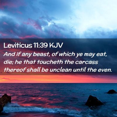 Leviticus 11:39 KJV Free Bible Images