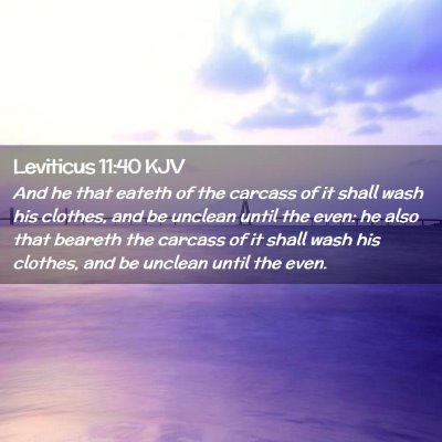 Leviticus 11:40 KJV Free Bible Images