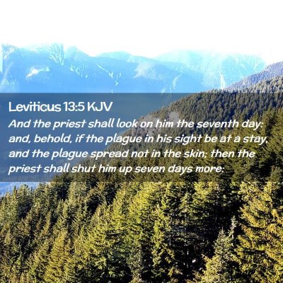 Leviticus 13:5 KJV Free Bible Images