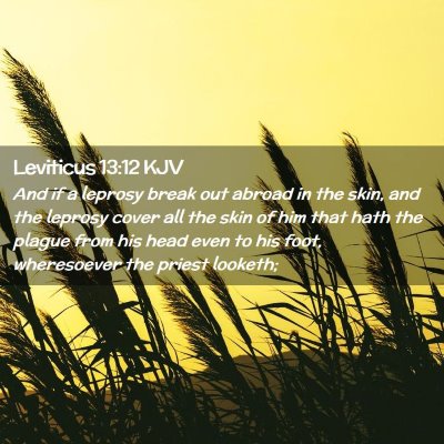 Leviticus 13:12 KJV Free Bible Images