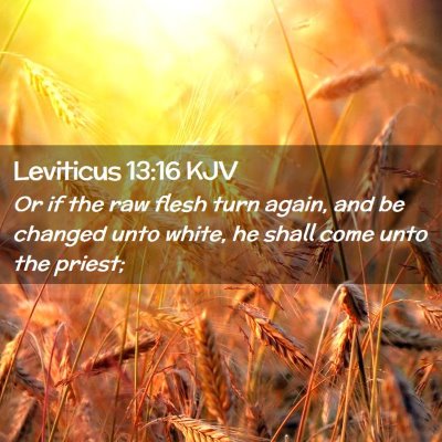 Leviticus 13:16 KJV Free Bible Images