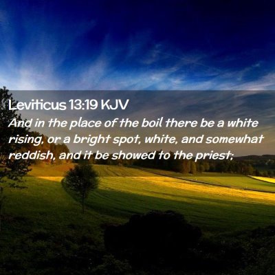 Leviticus 13:19 KJV Free Bible Images