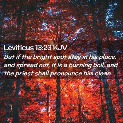 Leviticus 13:23 KJV Free Bible Images