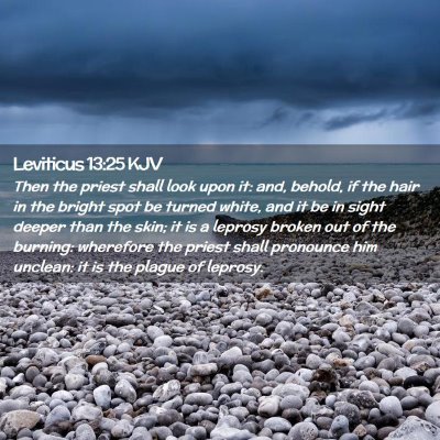 Leviticus 13:25 KJV Free Bible Images