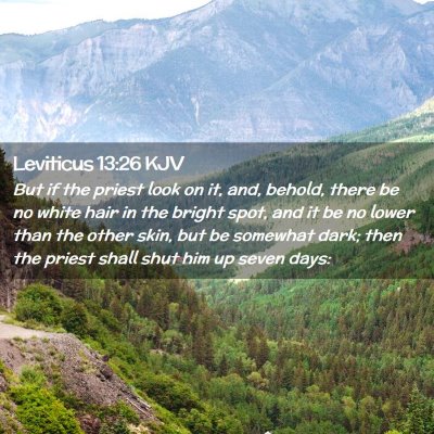 Leviticus 13:26 KJV Free Bible Images