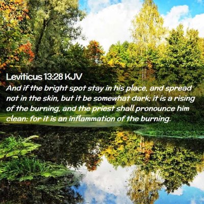 Leviticus 13:28 KJV Free Bible Images