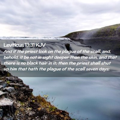 Leviticus 13:31 KJV Free Bible Images