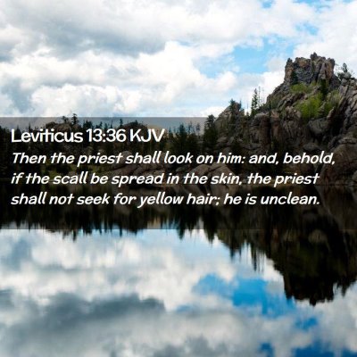 Leviticus 13:36 KJV Free Bible Images