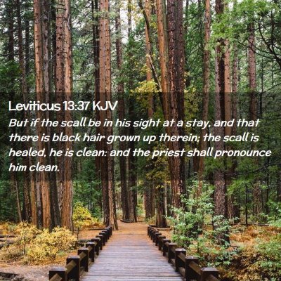 Leviticus 13:37 KJV Free Bible Images