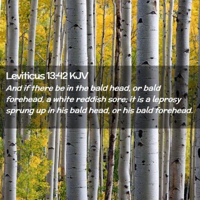 Leviticus 13:42 KJV Free Bible Images