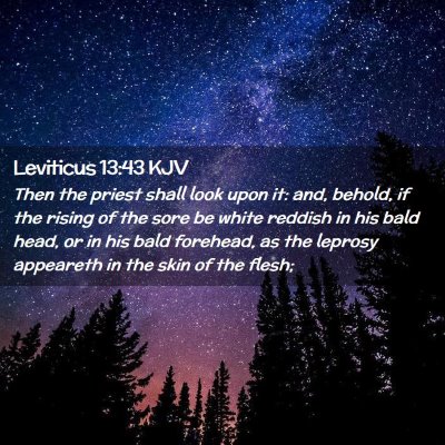 Leviticus 13:43 KJV Free Bible Images