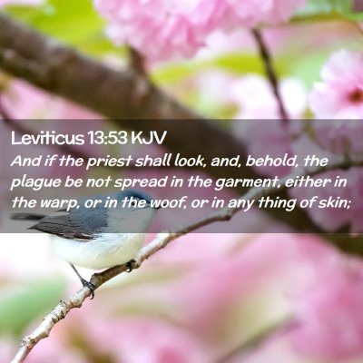 Leviticus 13:53 KJV Free Bible Images