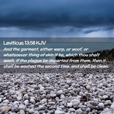 Leviticus 13:58 KJV Free Bible Images