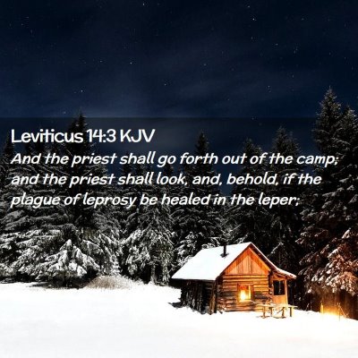 Leviticus 14:3 KJV Free Bible Images