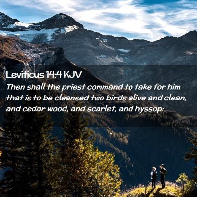 Leviticus 14:4 KJV Free Bible Images