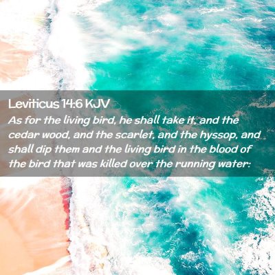 Leviticus 14:6 KJV Free Bible Images