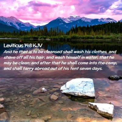 Leviticus 14:8 KJV Free Bible Images