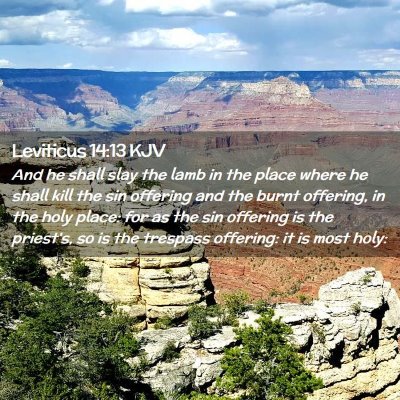 Leviticus 14:13 KJV Free Bible Images