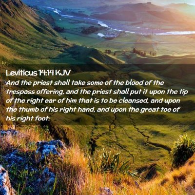 Leviticus 14:14 KJV Free Bible Images