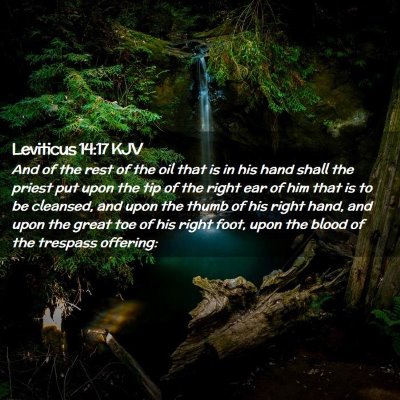 Leviticus 14:17 KJV Free Bible Images