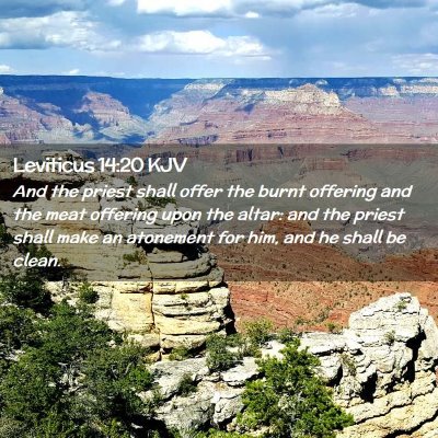 Leviticus 14:20 KJV Free Bible Images