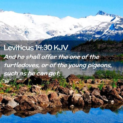 Leviticus 14:30 KJV Free Bible Images